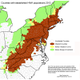 Illustration for article titled Wooly Adelgid vs. Eastern Hemlock